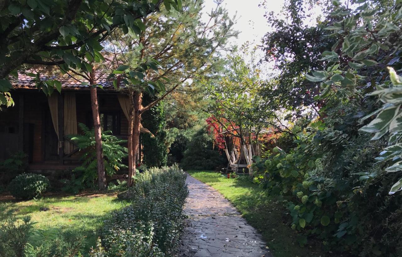 סביטיאז Flower Street מראה חיצוני תמונה