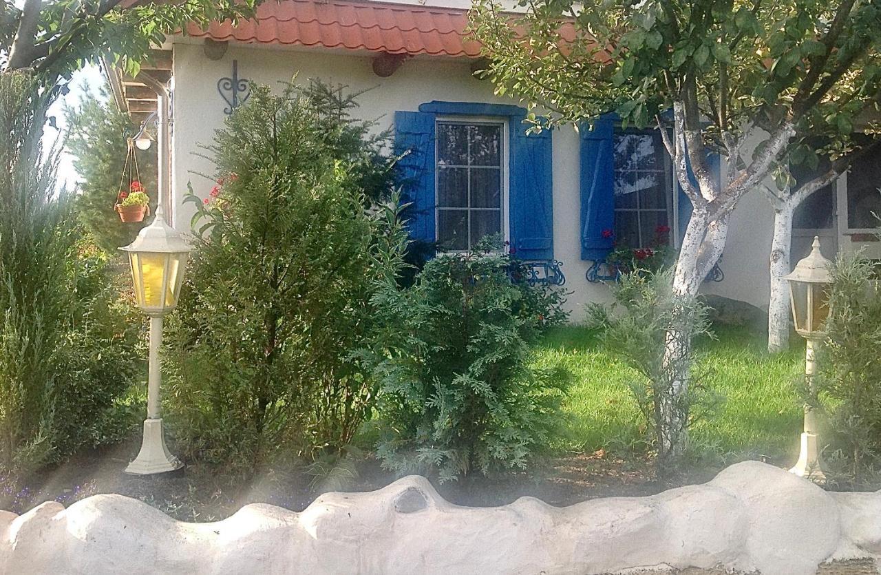 סביטיאז Flower Street מראה חיצוני תמונה